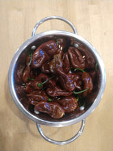 Load image into Gallery viewer, 7 Pot Chocolate 10+ Isolated seeds Capsicum chinense