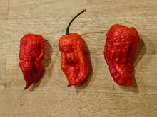 Load image into Gallery viewer, Naga Viper, Former World Record Super Hot pepper pods, isolated seeds by Atomic Pepper Seeds