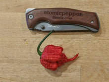 Load image into Gallery viewer, 7 Pot Primo 10+ Isolated Seeds Capsicum Chinense