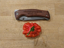 Load image into Gallery viewer, Aji Cachucha 10+ Isolated Seeds