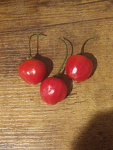 Load image into Gallery viewer, Malawi Piquante 10+ Isolated Seeds Capsicum Baccatum