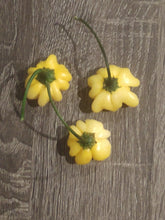 Load image into Gallery viewer, Brazilian Yellow Starfish, Unique Shape, Medium Heat pepper close-up, hot pepper seeds grown in Nebraska