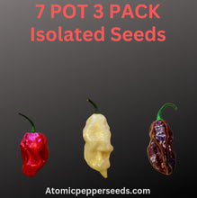 Load image into Gallery viewer, 7 Pot 3-Pack, White, Red & Chocolate pepper pods, isolated seeds by Atomic Pepper Seeds