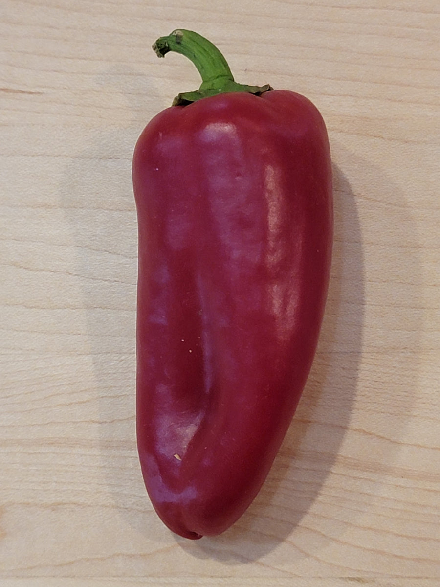 Red Mini Sweet Pepper Seeds | Atomic Seeds – atomicpepperseeds