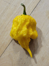 Load image into Gallery viewer, California Reaper Yellow 10+ Isolated seeds.
