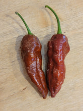 Load image into Gallery viewer, Chocolate Fatalii 10+ Isolated seeds
