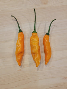 Aji Mango 10+ Isolated Seeds