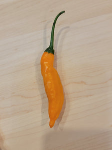 Aji Mango 10+ Isolated Seeds