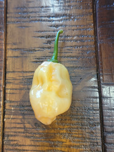 Peach Habanero 10+ Isolated Seeds