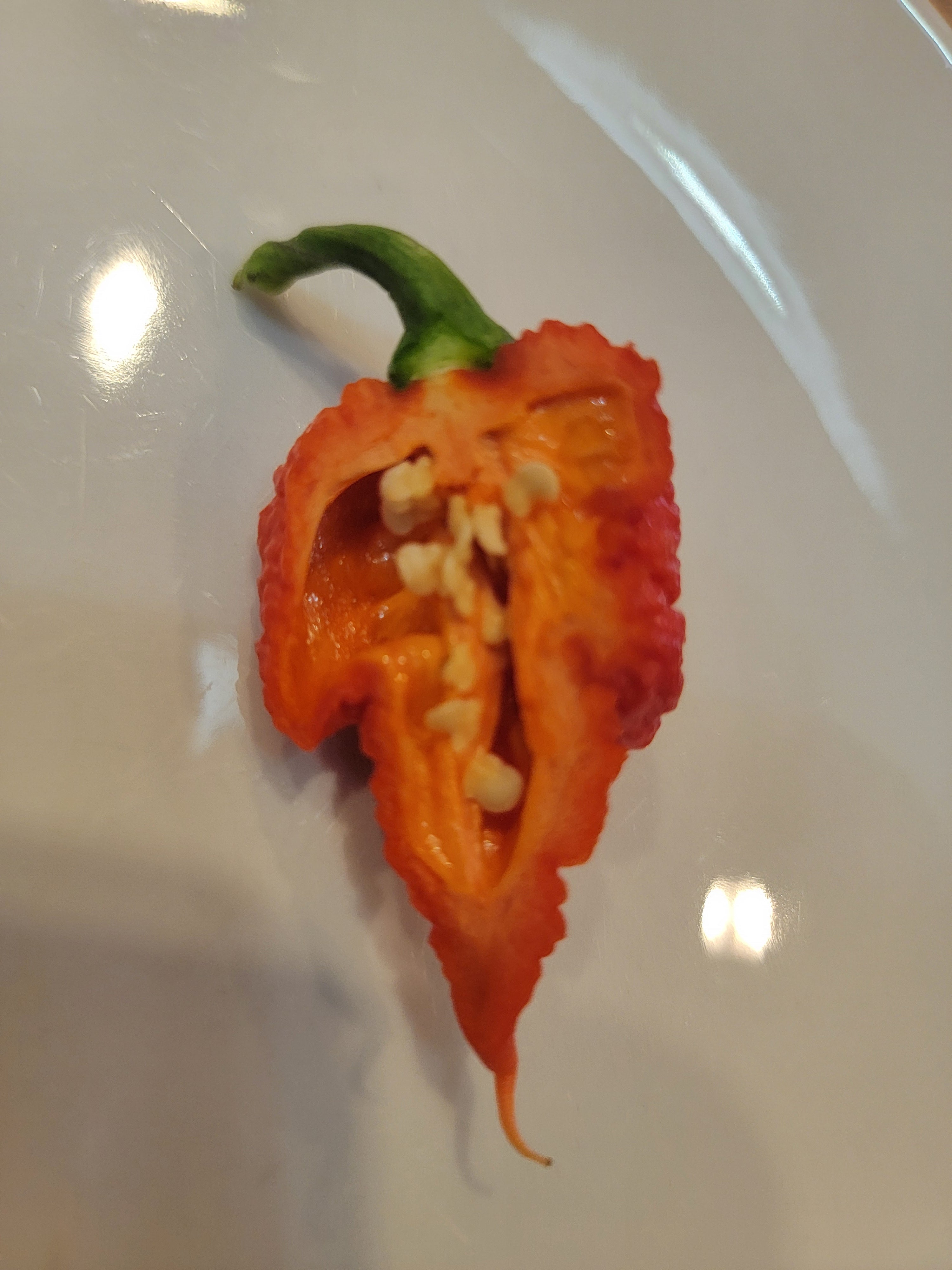 RB003 Pepper Seeds — Experimental Super Hot | Atomic Seeds