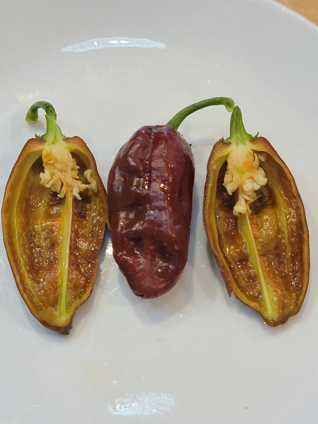 Chocolate Habanero 10+ Isolated Seeds.