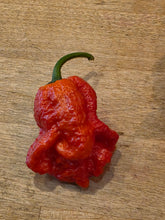 Load image into Gallery viewer, Red Dead Pool pepper close-up, gnarly bumpy super hot pod from Atomic Pepper Seeds
