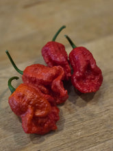 Load image into Gallery viewer, Red Dead Pool pepper pods, extreme super hot pepper grown by Atomic Pepper Seeds
