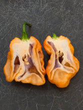 Load image into Gallery viewer, Peach Purple Ghost Scorpion pepper cross-section showing purple inner flesh, isolation-grown by Atomic Pepper Seeds
