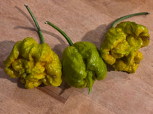 Load image into Gallery viewer, Three White Hot Lime pepper pods on a cutting board showing two phenotypes: chartreuse green and mustardy yellow
