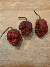 Load image into Gallery viewer, Three Chocolate Hellboy pepper pods on a cutting board showing textured superhot pod shape
