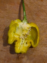 Load image into Gallery viewer, White Hot Lime pepper cross section showing thick walls and seed cluster with pale yellow interior
