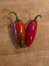 Load image into Gallery viewer, Fully ripe red jalapeño pepper
