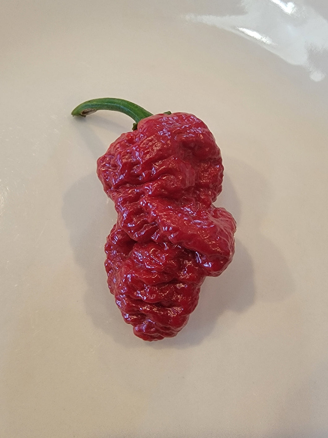 Atomics Red Banshee 10+ Isolated seeds