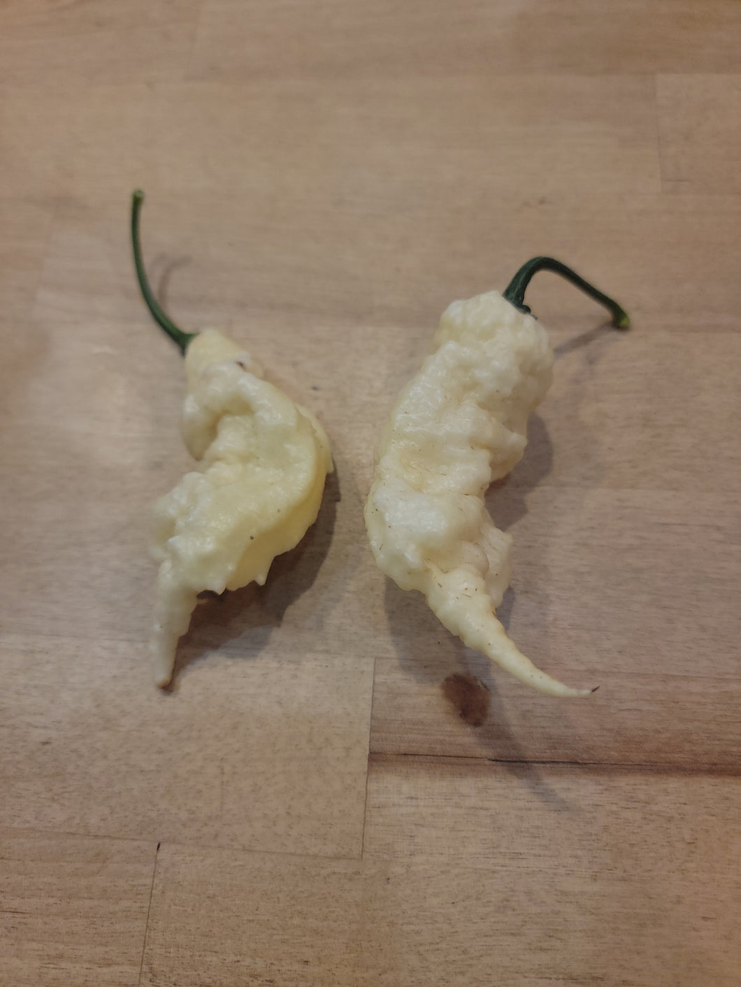 Atomics White Painsickle