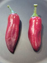 Load image into Gallery viewer, Purple Tiger x Jalapeno 10 + Isolated Seeds
