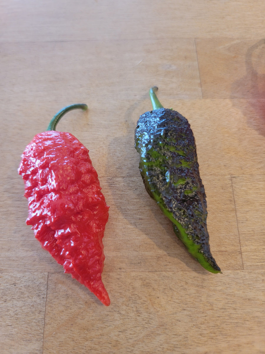 Leopard Reaper Pepper Seeds — Spotted Heat | Atomic Seeds ...
