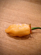 Load image into Gallery viewer, 7 Pot peach bubble gum 10+ Isolated seeds Capsicum chinense
