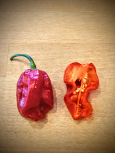 7 pot red 10+ isolated seeds capsicum chinense